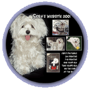 SOBA's Website